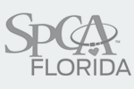 Qgiv Client: SPCA Florida